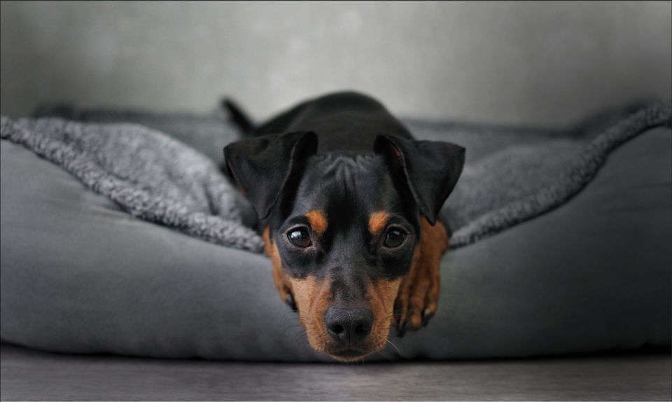 Bildschirmfoto 2020-05-06 um 10.24.52